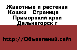 Животные и растения Кошки - Страница 3 . Приморский край,Дальнегорск г.